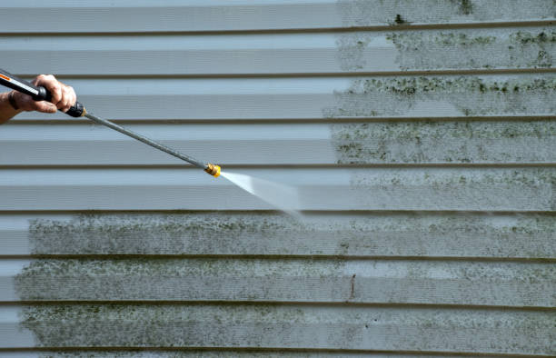 Best Affordable Pressure Washing  in Whitehall, MI