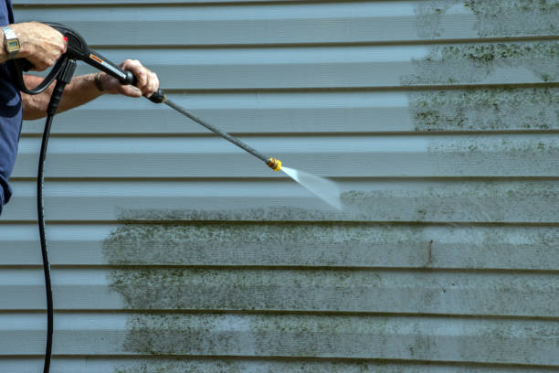 Best Best Pressure Washing Companies  in Whitehall, MI