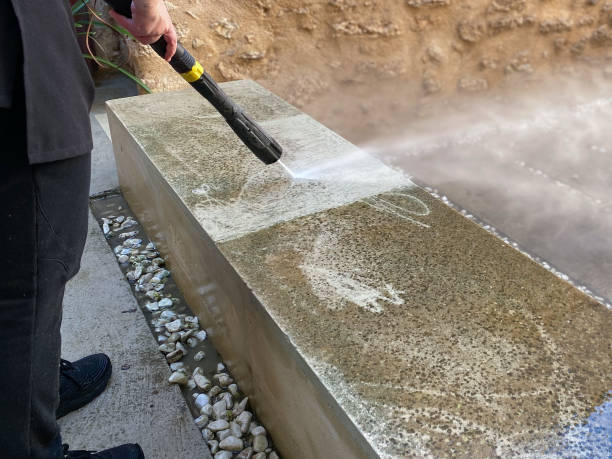 Best Power Washing Near Me  in Whitehall, MI