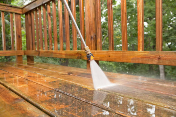 Best Affordable Power Washing  in Whitehall, MI